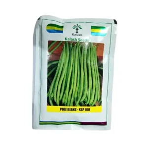 Kalash KSP 168 Arpita Pole-Beans 100gm Desi Vegetable Seeds India