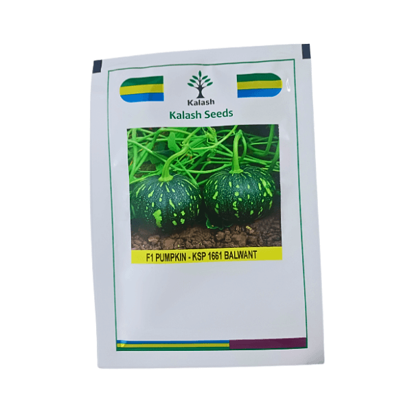 102-1.png Kalash KSP 1661 Balwant F1 Hybrid Pumpkin Vegetable Seeds - Image 1