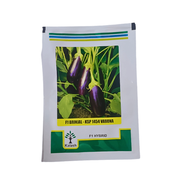108-1.png Kalash KSP 1454 Varuna F1 Hybrid Brinjal Vegetable Seeds - Image 1