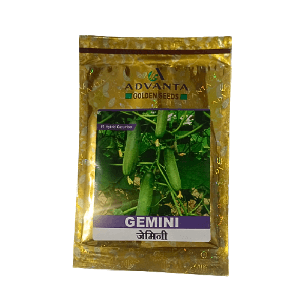 121-1.png Advanta Golden Gemini F1 Hybrid Cucumber Vegetable Seeds - Image 1