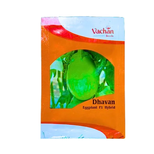 123321-1.webp Vachan Dhavan F1 Hybrid Brinjal Vegetable Seeds - Image 1