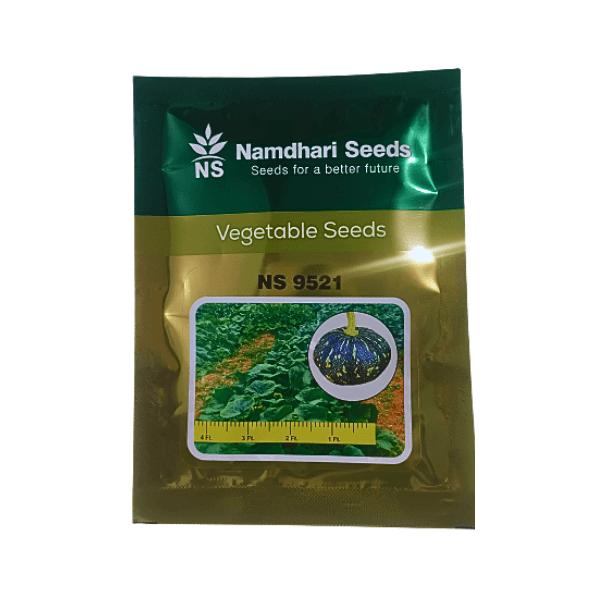 125-1.png Namdhari Ns 9521 F1 Hybrid Pumpkin Vegetable Seeds - Image 1