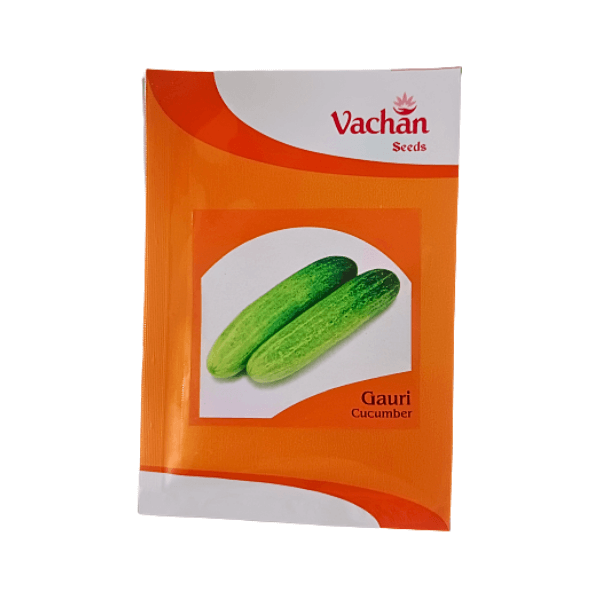 129-1.png Vachan Gauri Hybrid Cucumber Seeds Plant Online - Image 1