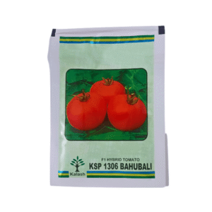 Kalash KSP 1306 Bahubali F1 Hybrid Tomato Seeds Plant Online