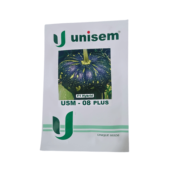 140-1.png Unisem USM-08 Plus F1 Hybrid Pumpkin Seeds Plant - Image 1