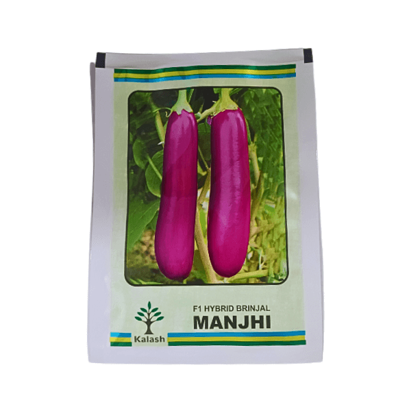 157-1.png Kalash Manjhi F1 Hybrid Brinjal Organic Seeds Plant - Image 1