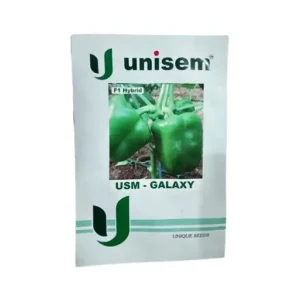 Unisem USM-Galaxy F1 Hybrid Capsicum Vegetable Seeds Online Buy 01 gm