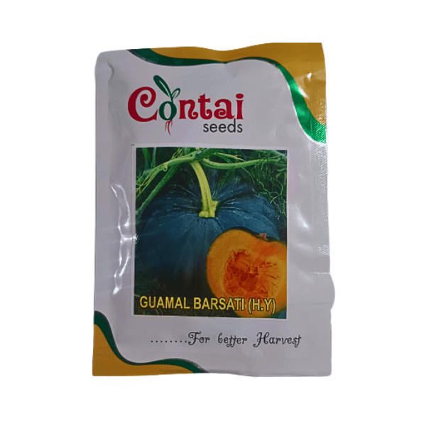 24-1.png Contai Guamal Barsati Hybrid Pumpkin Vegetable Seeds - Image 1