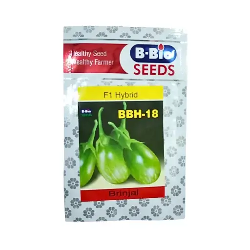 32-1.webp B-Bio BBH-18 F1 Hybrid Brinjal 10gm Vegetable Seeds Online India - Image 1