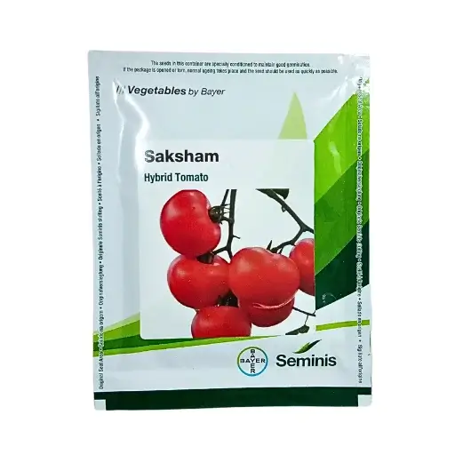 33-1.webp Bayer Seminis Hybrid Tomato Saksham 10gm Organic Vegetable Seeds India - Image 1