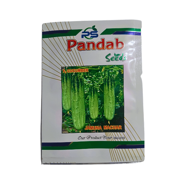 39-1.png Pandab Jamuna Machar F2 Hybrid Cucumber Vegetable Seeds - Image 1