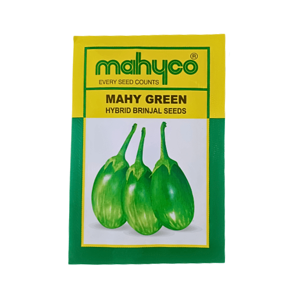 64-1.png Mahyco Mahy Green Hybrid Brinjal Vegetable Seeds - Image 1