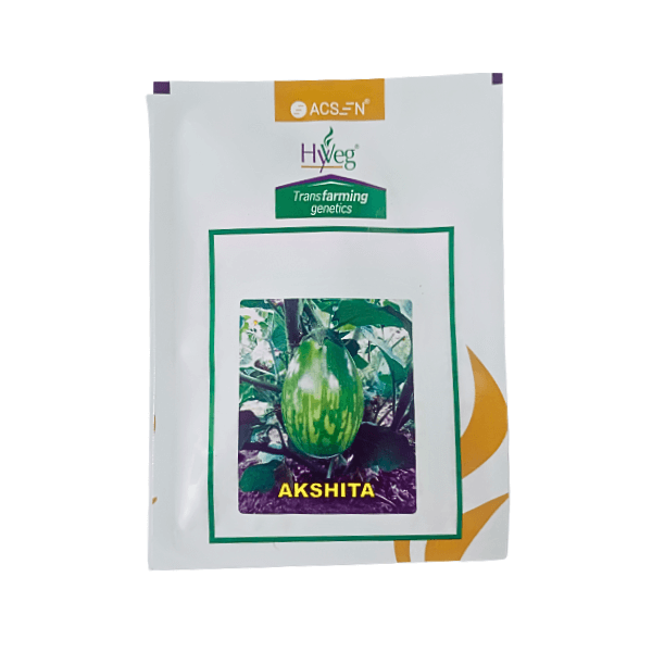 69-1.png Acsen Hyveg Akshita Hybrid Brinjal Vegetable Seeds - Image 1