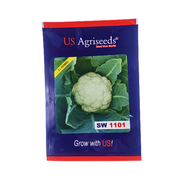 70-1.png US Agriseeds SW 1101 F1 Hybrid Cauliflower Vegetable Seeds - Image 1