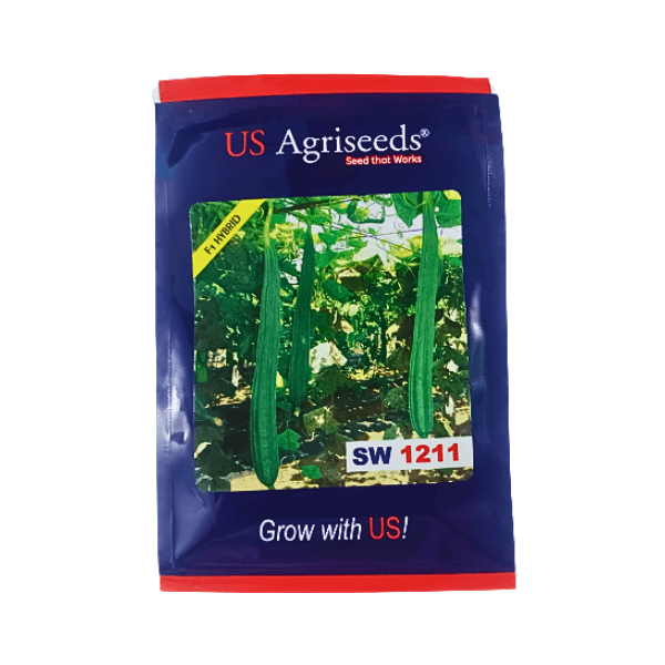 72-1.png US Agriseeds SW 1211 F1 Hybrid Ridge Gourd Vegetable Seeds - Image 1