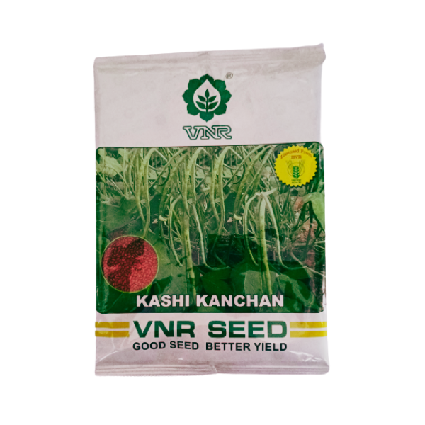 VNR Kashi Kanchan Cowpea Seeds 1