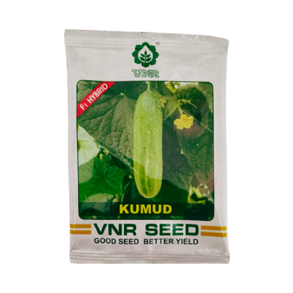 VNR Kumud F1 Hybrid Cucumber Seeds 1
