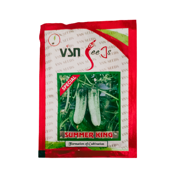 Vsn Seeds Special Summer King Cucumber Seeds 1